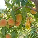 Bric Di Gai 아파트