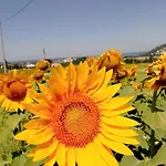 Apartament Bric Di Gai Monforte dʼAlba