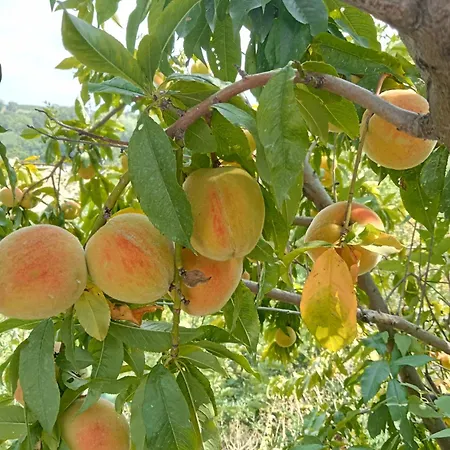 Bric Di Gai Lejlighed