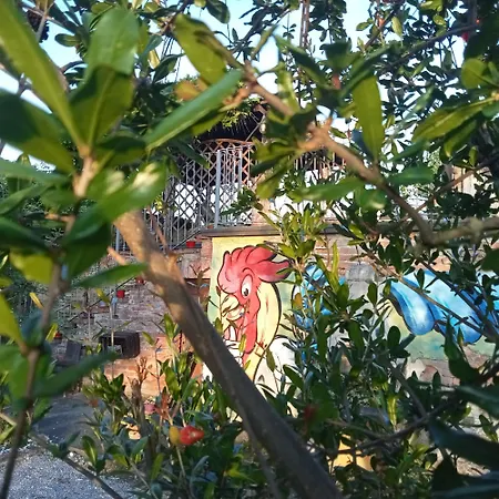 Bric Di Gai 아파트 몬포르테달바