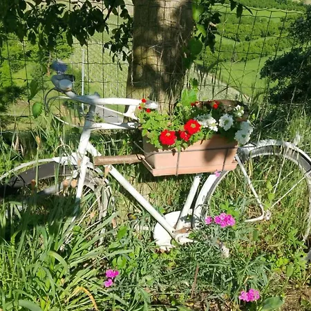 Bric Di Gai Lejlighed Monforte D'Alba